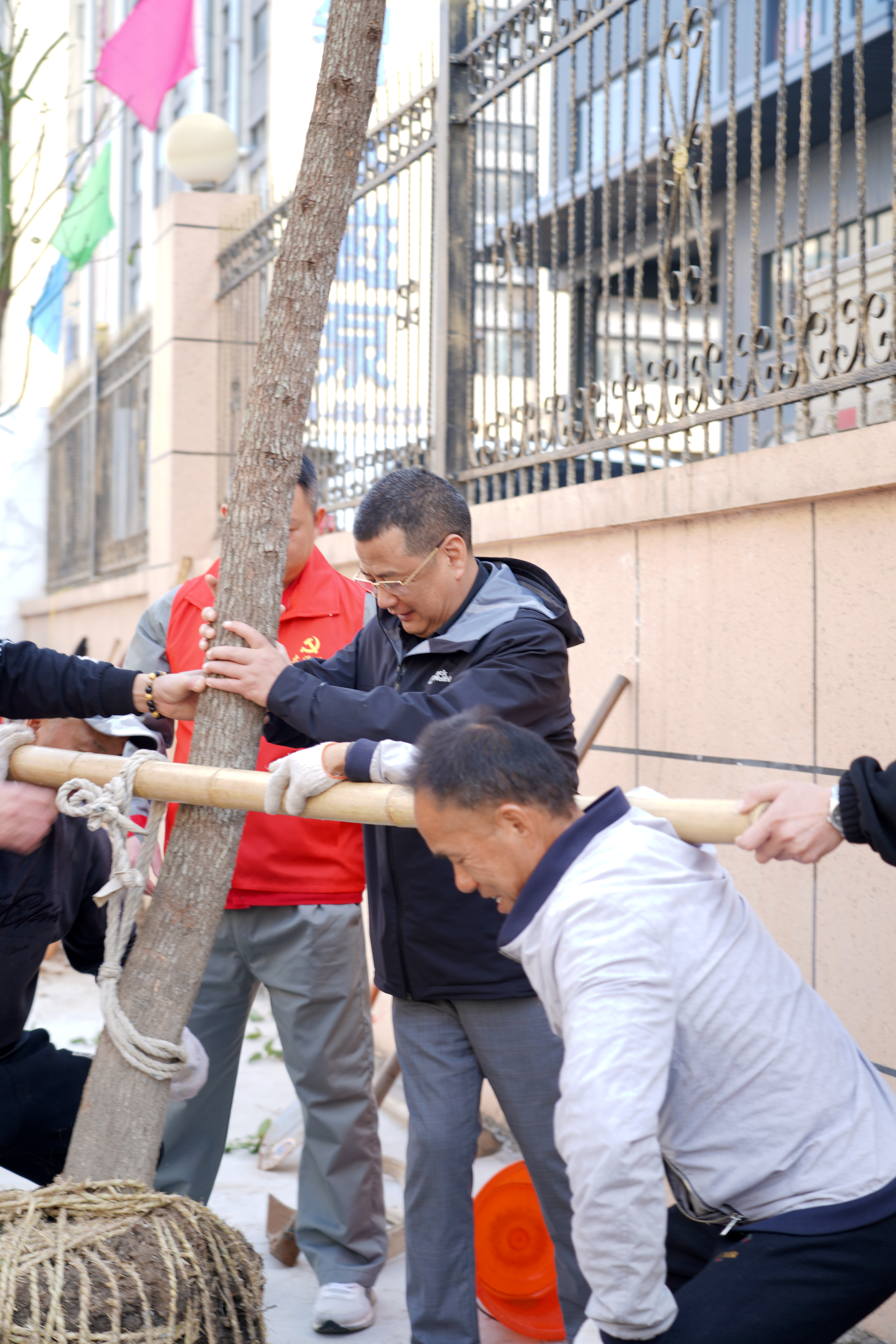 普軒特植樹節(jié)